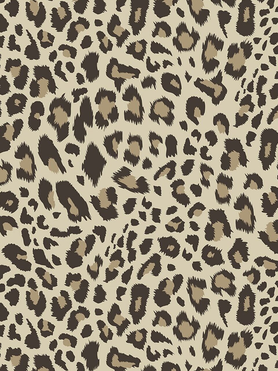 Reusable&Stylish Masks in Leopard | Accessories
